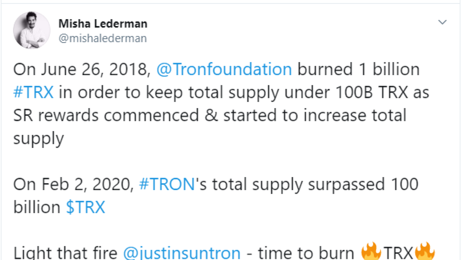 Misha Lederman TRX burn