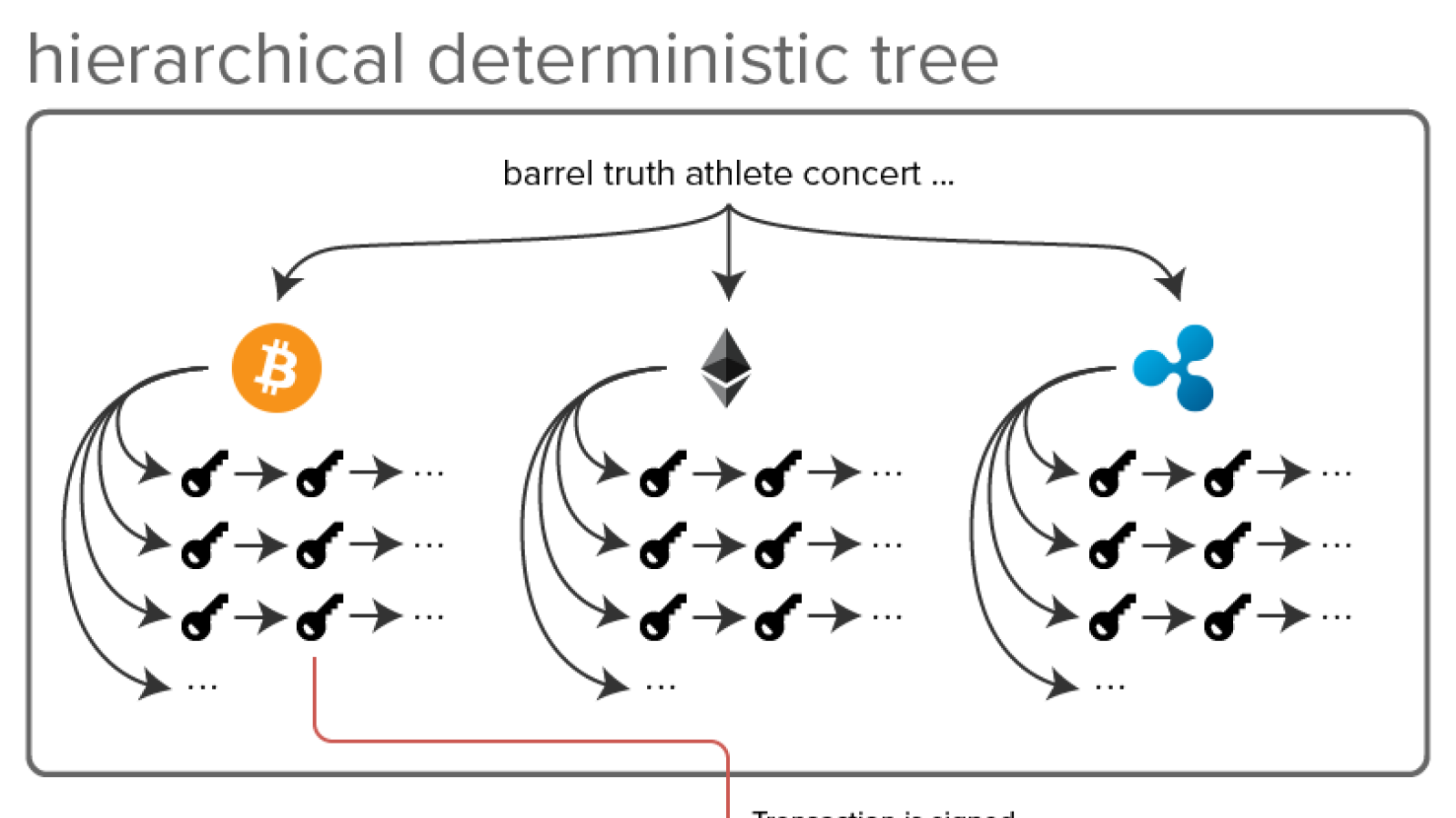 Hierarchical deterministic tree