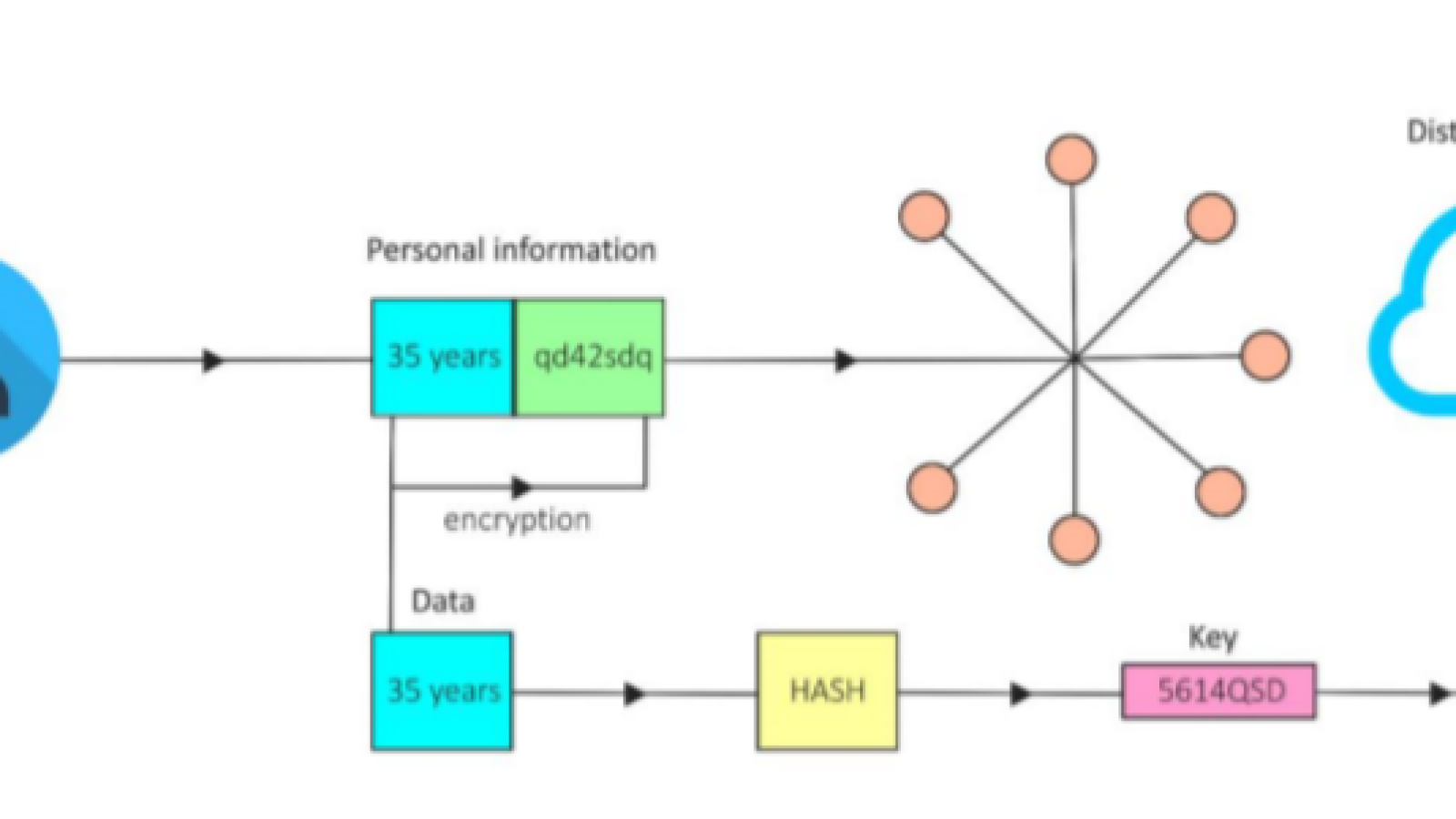 XSL unveils decentralied data management system