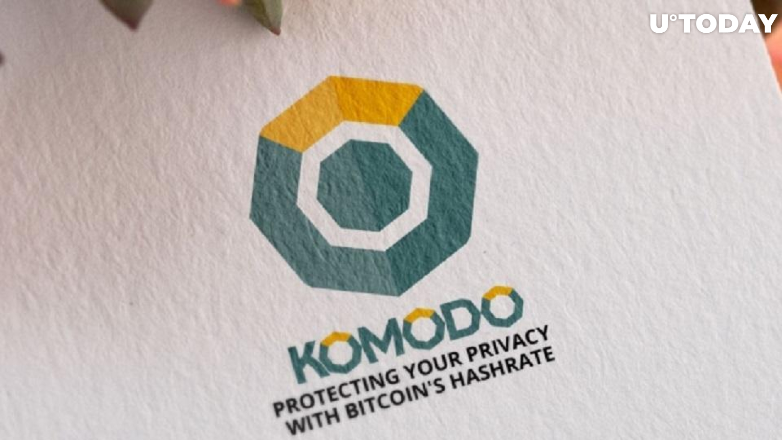 Komodo (KMD) Team Belie Reports that Ledger Considers Dumping KMD Support
