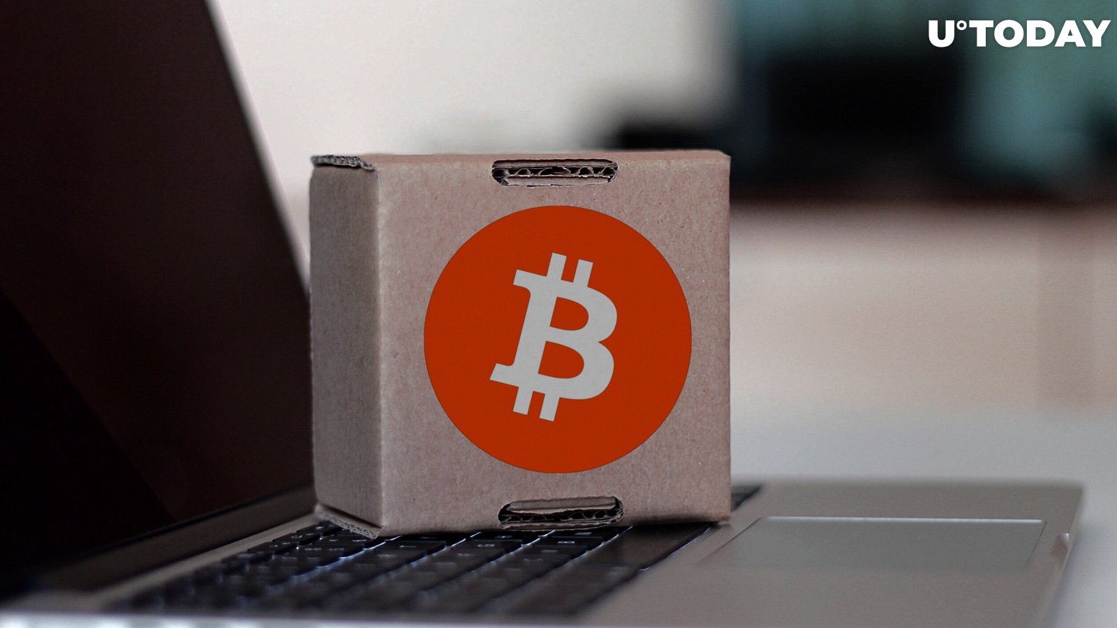 Forbes: Recent Study Shows Bitcoin Market Is Rising Again, BTC Turns Less Volatile