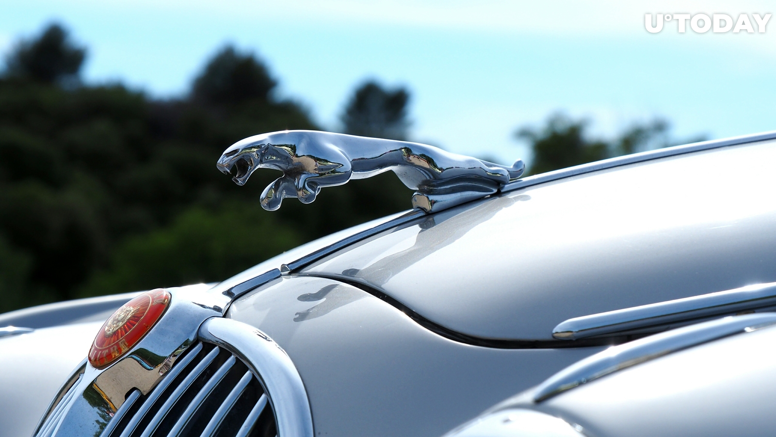 IOTA Skyrockets 16 Percent on Jaguar Partnership. Will the Rally Continue?