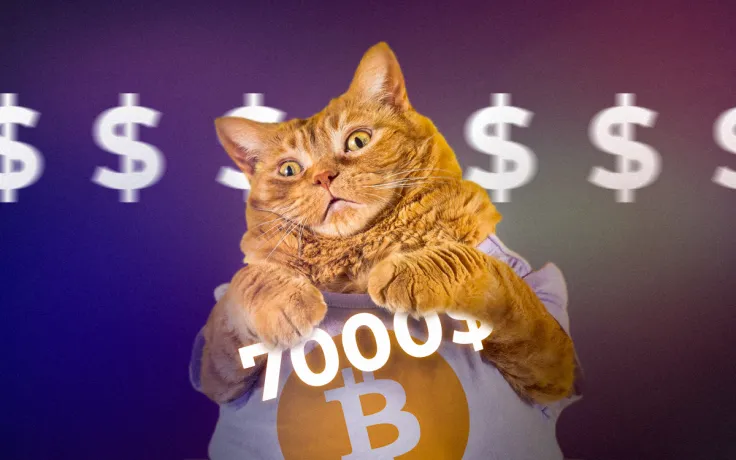 [BTC/USD] Price Prediction: $7,000 by the End of May 2019? Bulls Are on the Winning Side!