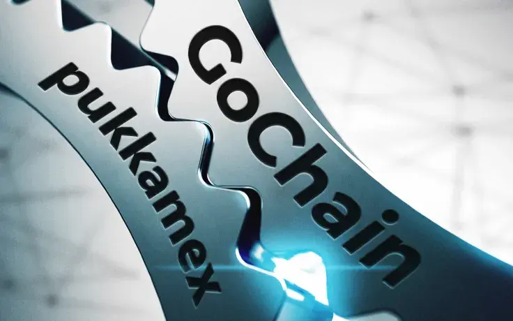 GoChain Announce Strategic Partnership with Pukkamex