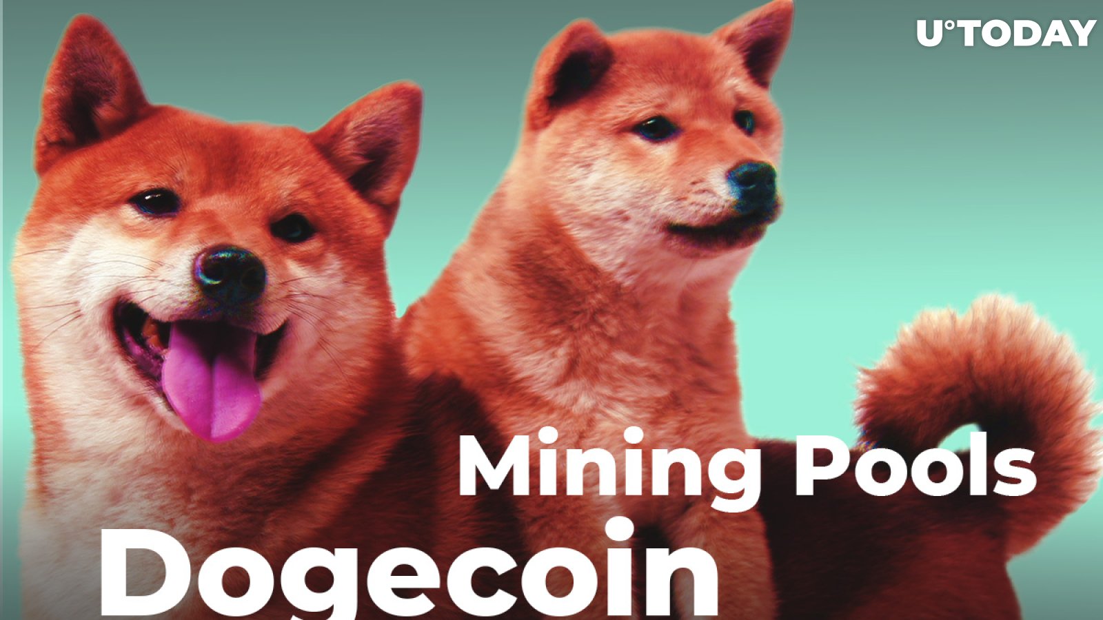 Dogecoin Mining Pools - Is It Worth It?