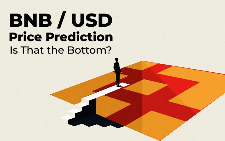 BNB/USD Price Prediction — The Price Plummeted Below $20: Is That the Bottom or Not?