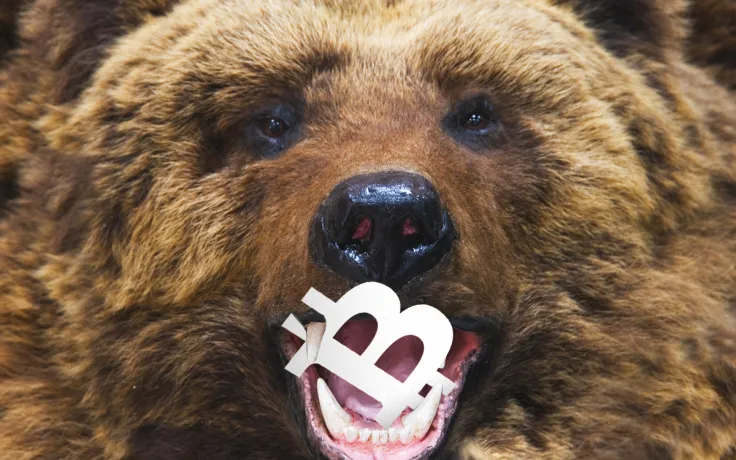 Bitcoin (BTC) Price 70-85% Drop Is Realistic. When Bears Will Pop Into View?