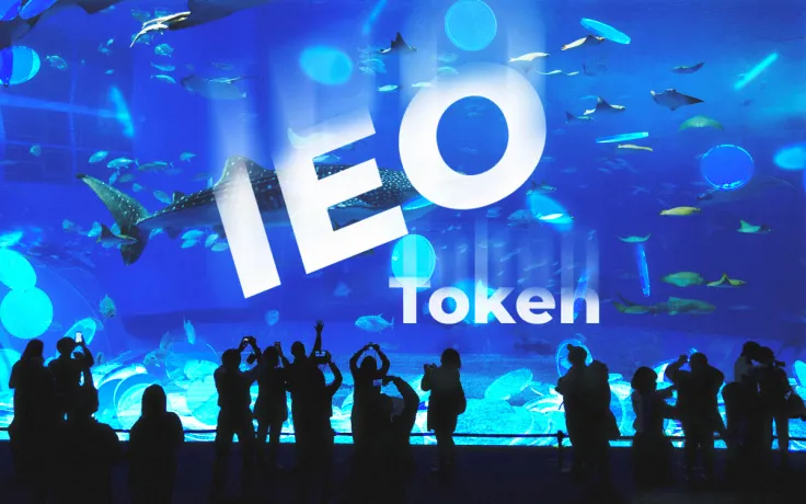 IEO Token Explanation on Brave Sound Token Example