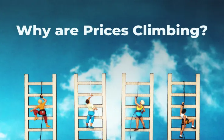 Why are Prices Climbing? Bitcoin Whales, Litecoin Hashrate, Tron Announcements, and more