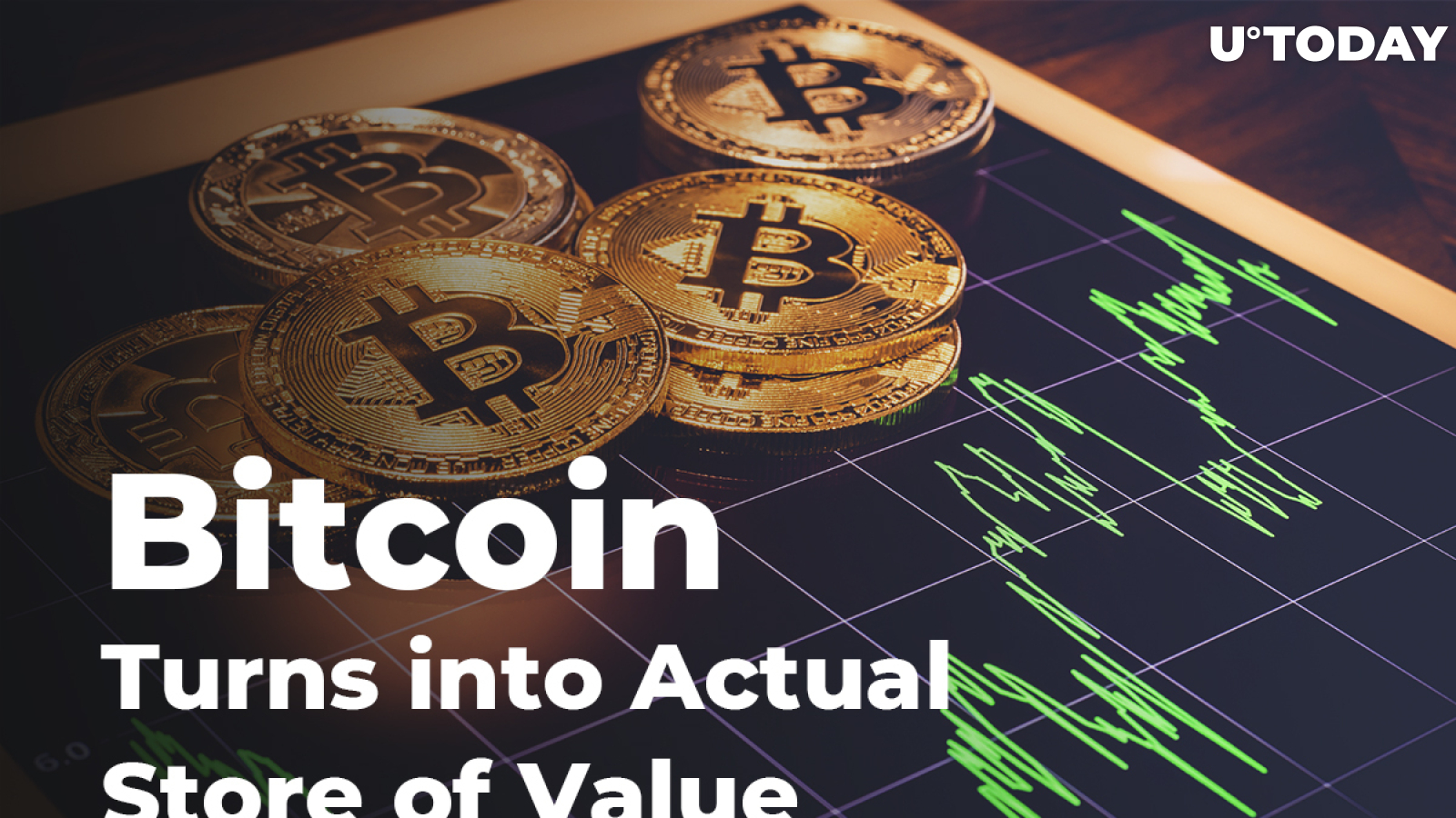 Bitcoin Turns into Actual Store of Value – 60% BTC Has Remained in Wallets at Least One Year