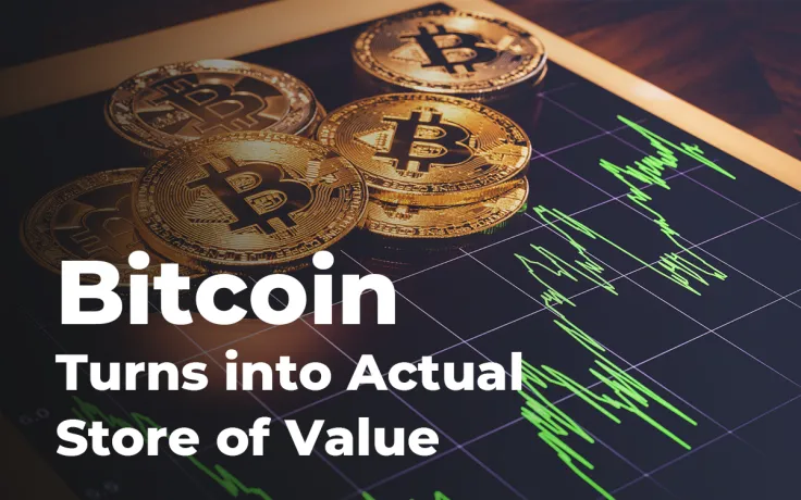 Bitcoin Turns into Actual Store of Value – 60% BTC Has Remained in Wallets at Least One Year