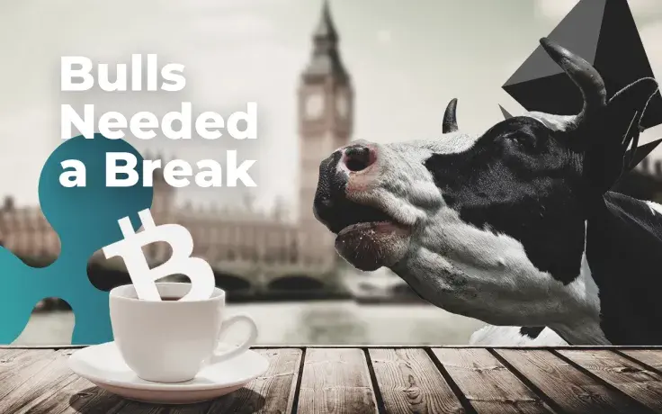 BTC, ETH, XRP Price Prediction — Did Bulls Need a Break or Is the $250 Bln Market Cap Back?