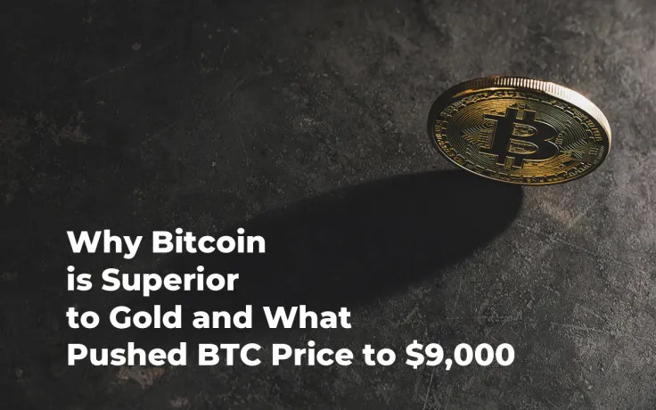 Stock Market Expert Explains Why Bitcoin Is Superior to Gold and What Pushed BTC Price to $9,000