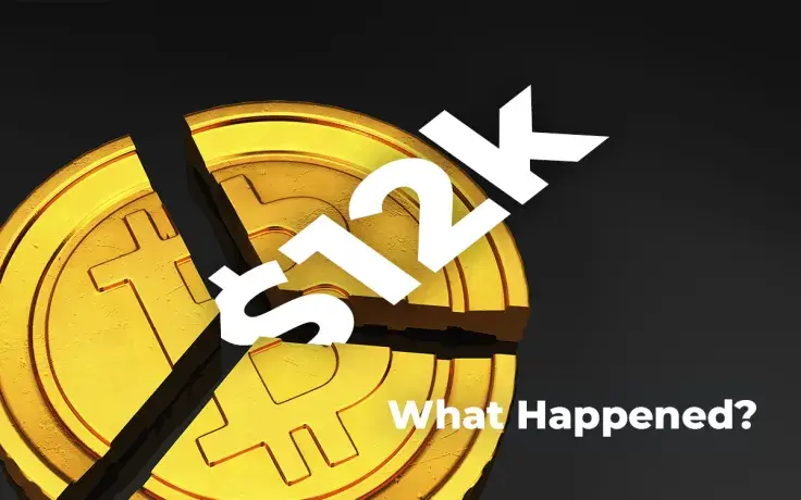 Bitcoin Price Retreats to Under $12,000, Here’s What Happened