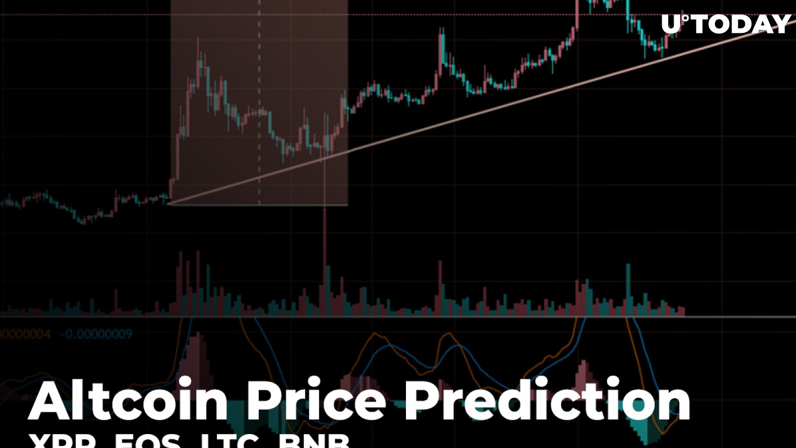 XRP, EOS, LTC, BNB Altcoin Price Prediction - Reasons for a Short-Term Rise