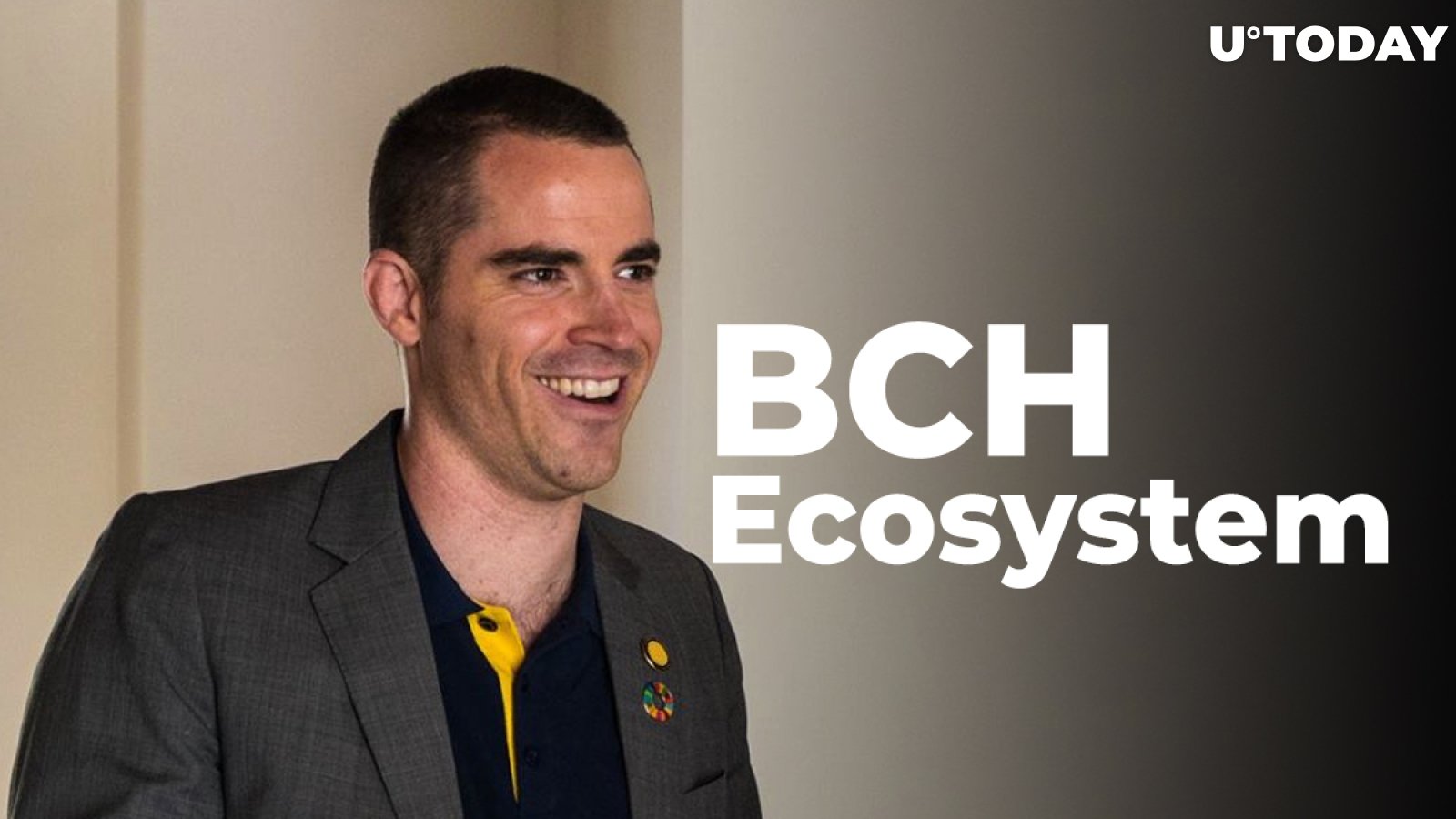 "Bitcoin Jesus" Roger Ver to Spend $200M Fund for Bitcoin Cash Ecosystem