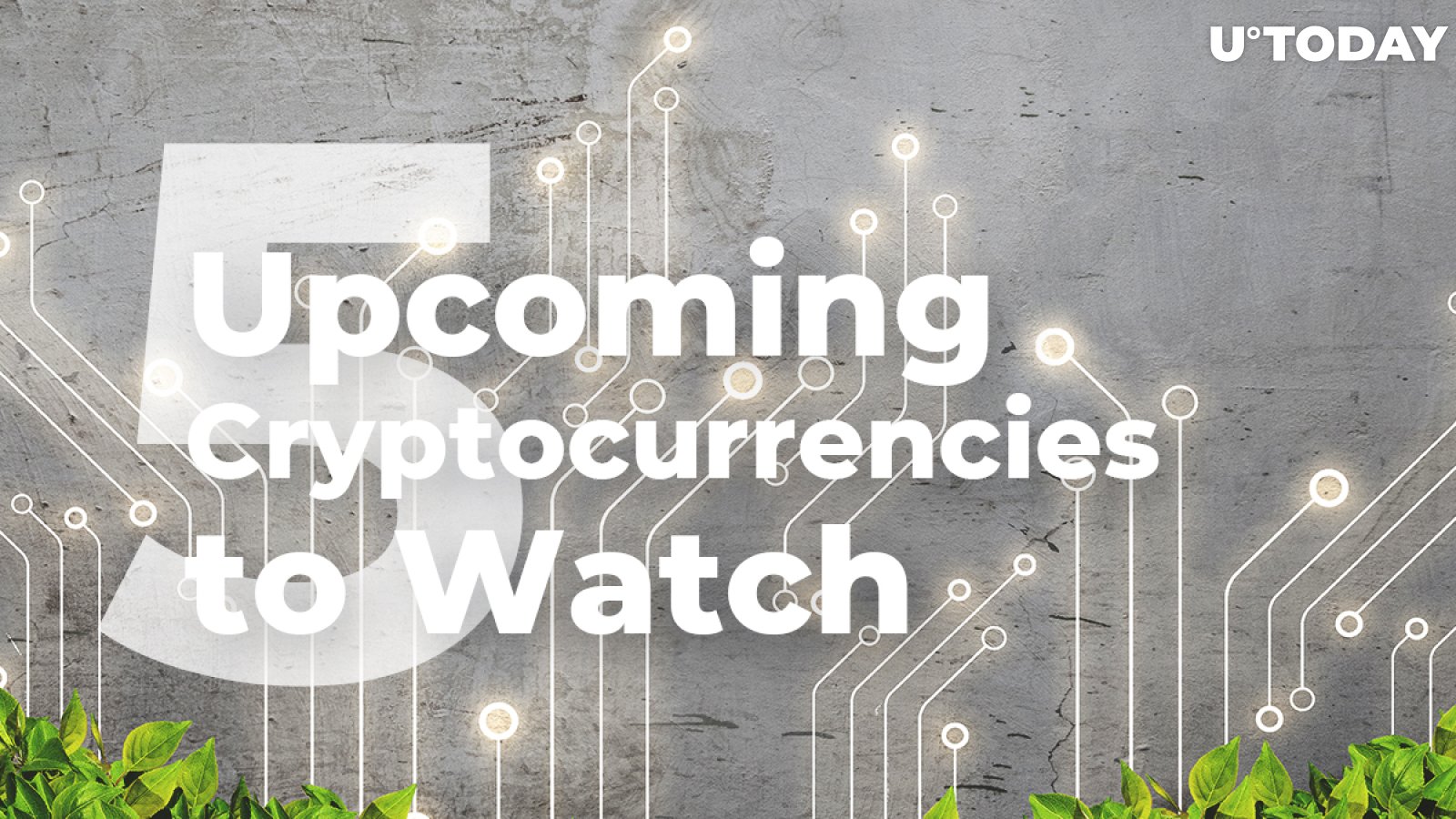 5 Popular Upcoming Cryptocurrencies to Watch in 2019 - Updated