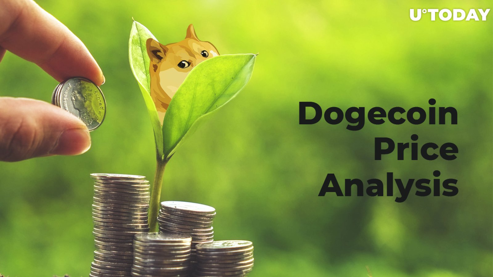 Dogecoin Price Analysis 2019 — Is Long-Term Growth Possible?