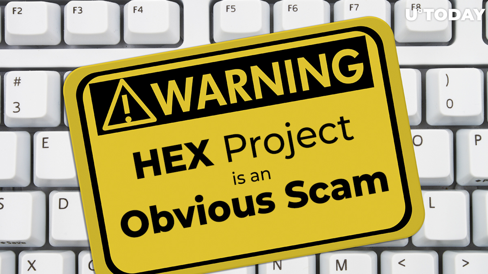 HEX Project is an Obvious Scam: IOTA Founder. Crypto Community Seconds