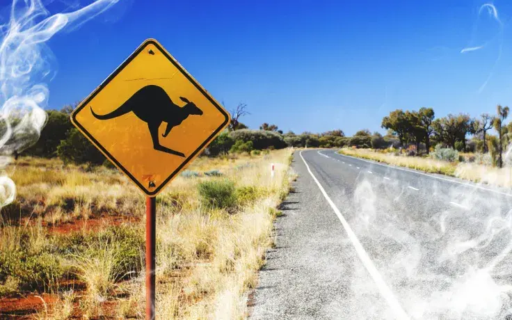 Ethereum, Litecoin, Bitcoin Cash and Binance Leaders Asked To Help The Impacted by The Australian Fires