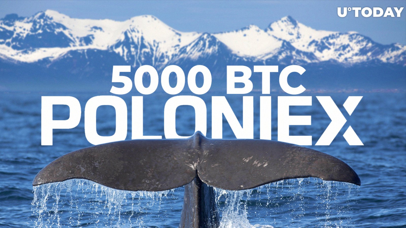 Bitcoin (BTC) Whale Moved 5000 BTC to Poloniex, 'Shuffling Funds' Suspected by Analysts