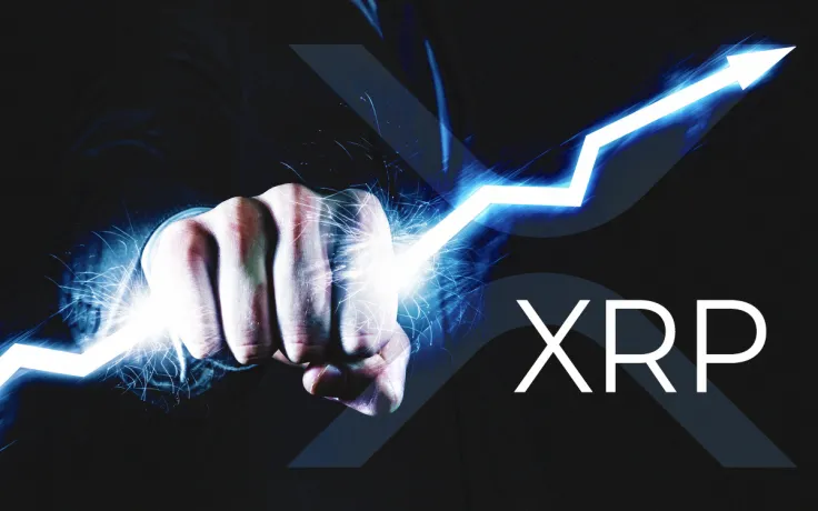 'XRP Could Fall to Zero or It Could Be Worth a Million Dollars': American Institute for Economic Research