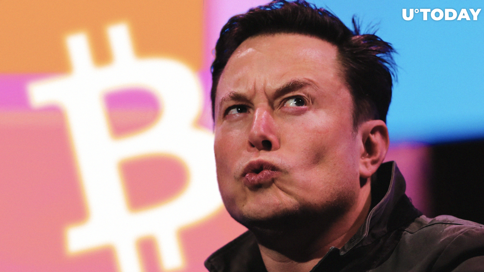 Bitcoin (BTC) Is Not My Safeword: Elon Musk