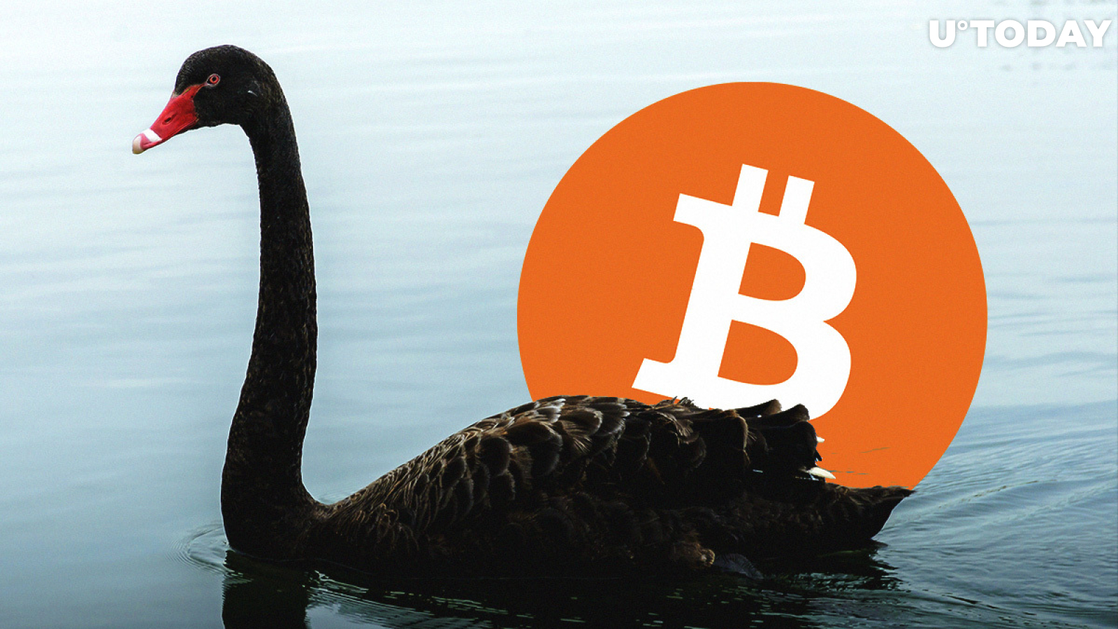 Bitcoin (BTC) Meets Black Swan Undervalued But Can Close 2020 at $6,400: Analyst