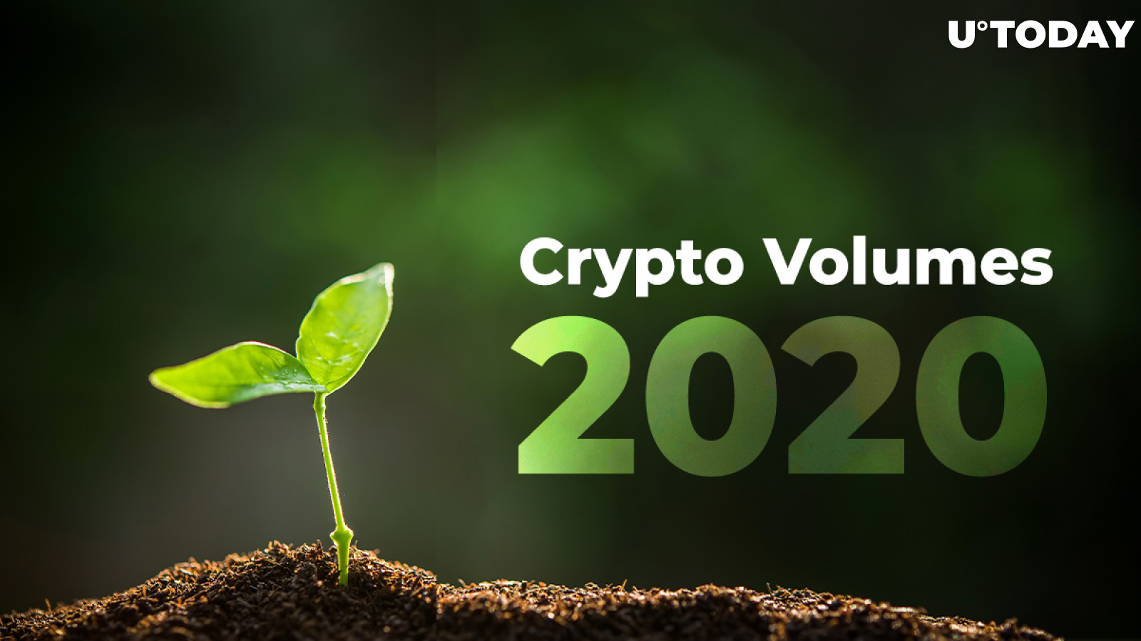 Crypto Volume Continues to Grow in 2020. Is New Bitcoin (BTC) Bull Market Just Starting?