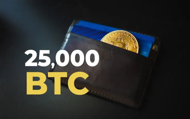 25,000 BTC Transferred for Tiny Fees Banks Cannot Provide