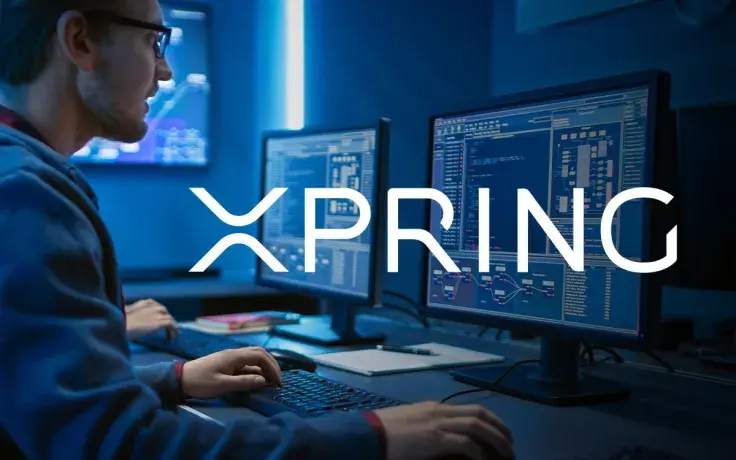 Xpring Platform Invites XRP Developers to New Initiative: Details