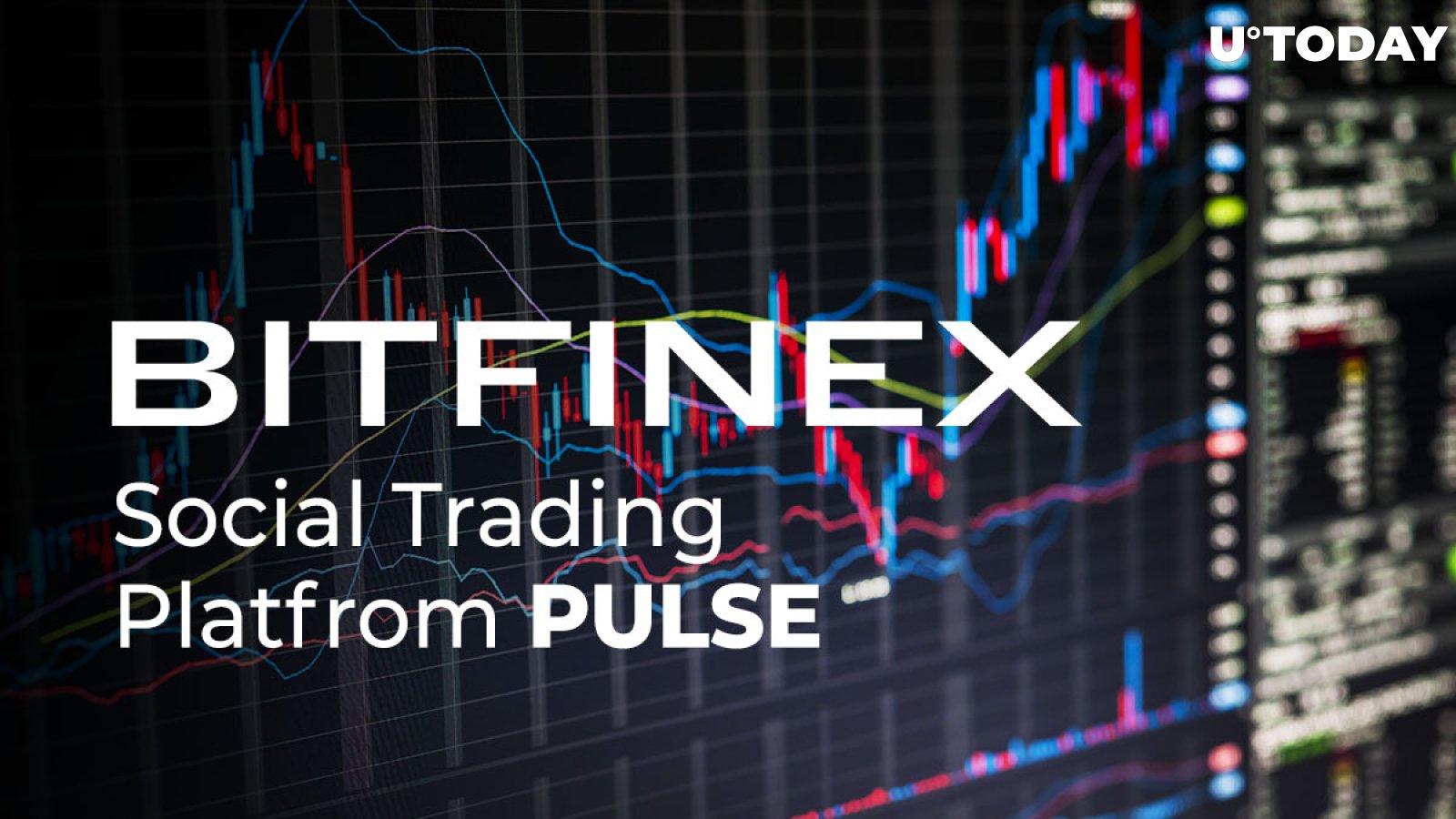 Bitfinex Launches Social Trading Platform Pulse: Details