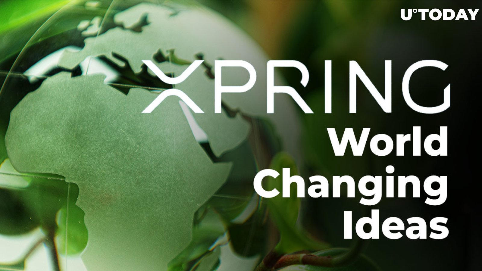 Ripple's Xpring Honored for This by America's Leading Business Magazine