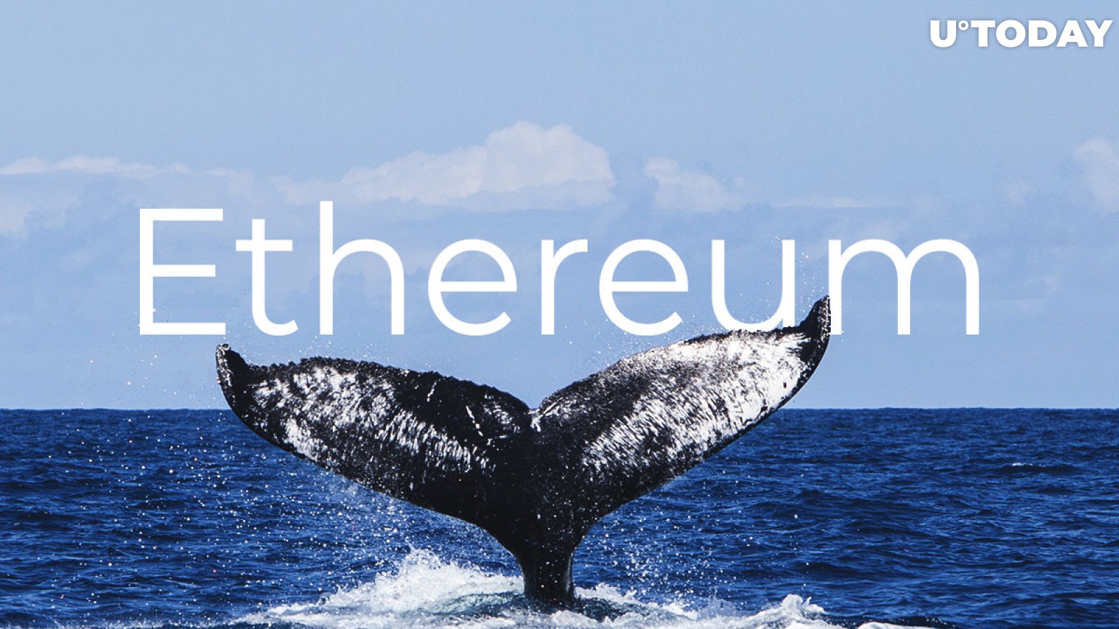 Ethereum (ETH) Whales Accumulating, Not Selling, Report Says