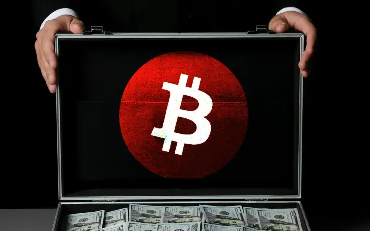 Bitcoin (BTC) Brings New Hard Money Buyers, Expert Says