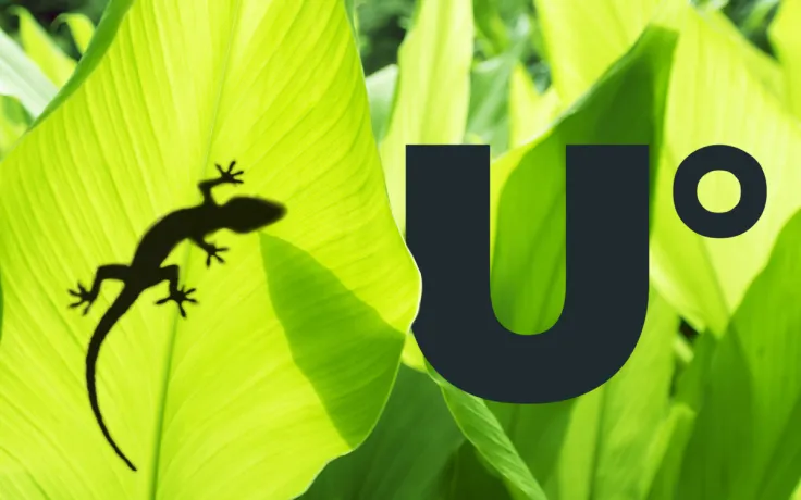 Crypto Newsfeed Powered by U.Today Available on Coingecko Analytical Portal