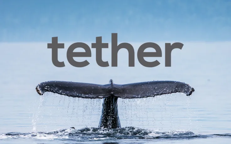 USDT Median Transaction Volume Prints New High. Are Whales Accumulating?