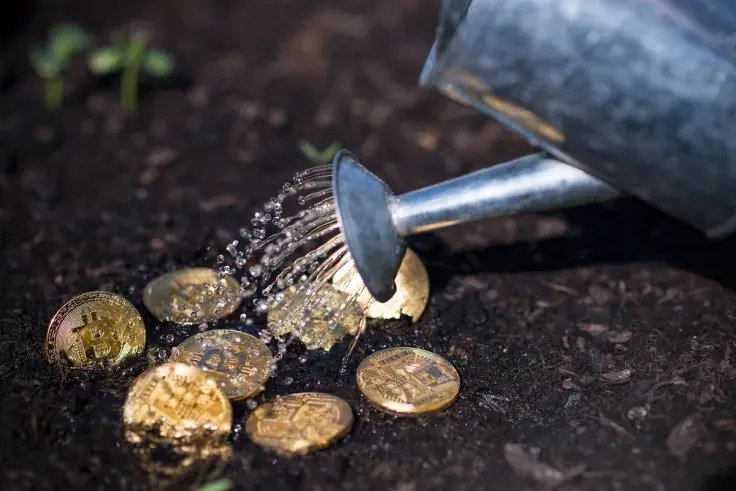 Andreessen Horowitz Co-Leader Says Crypto Is About to ‘Bloom’