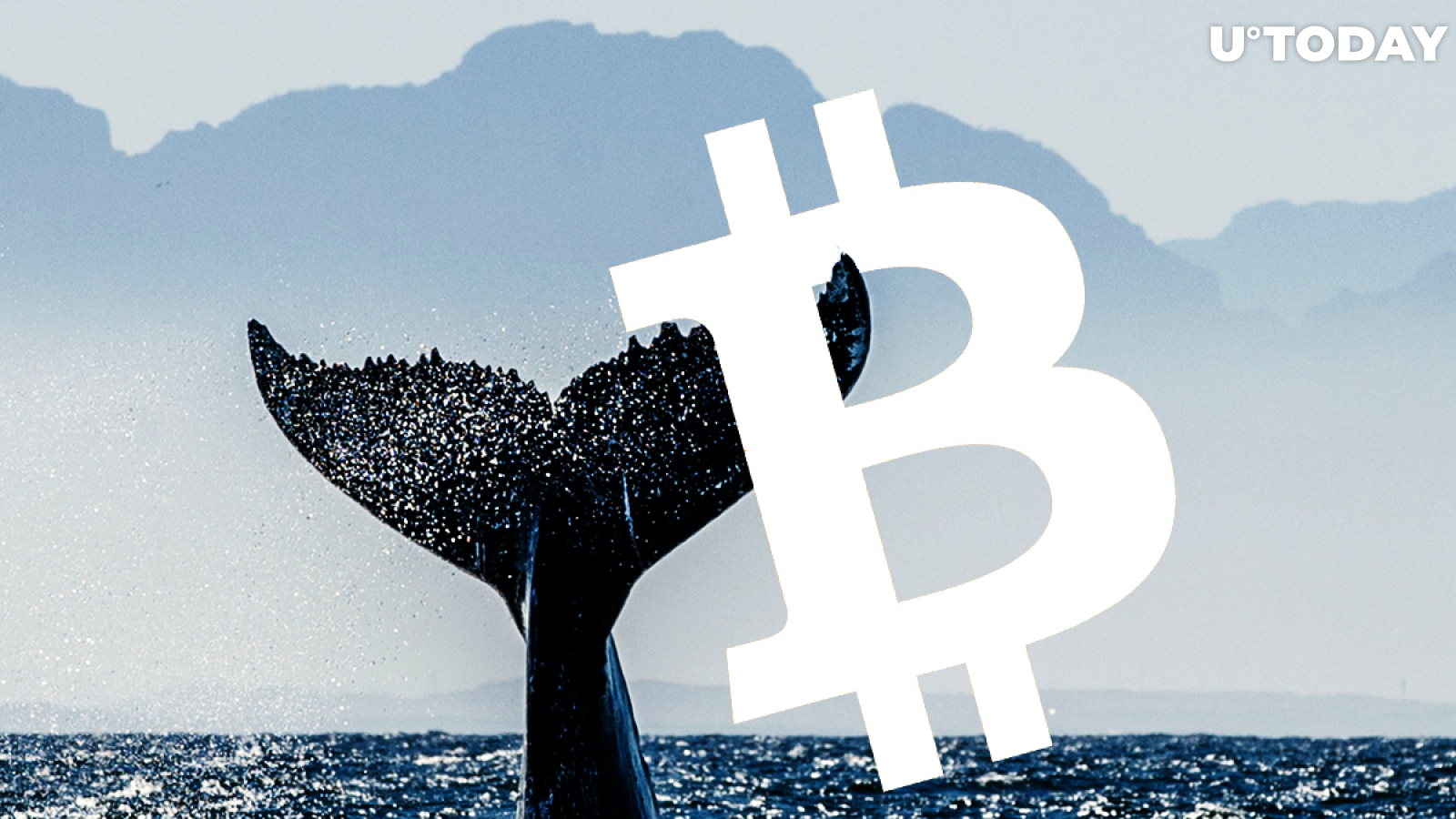 Bitcoin Whale Moves 47,835 BTC for $1.78 Fee