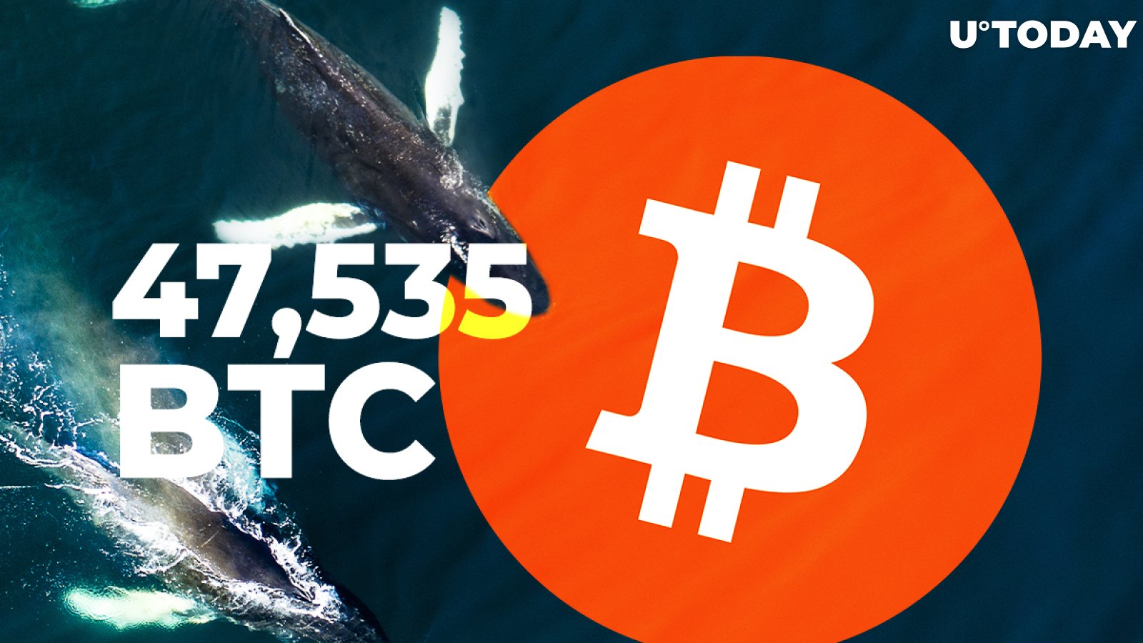 Bitcoin Whale Transfers Another 47,535 BTC - Second Day in a Row