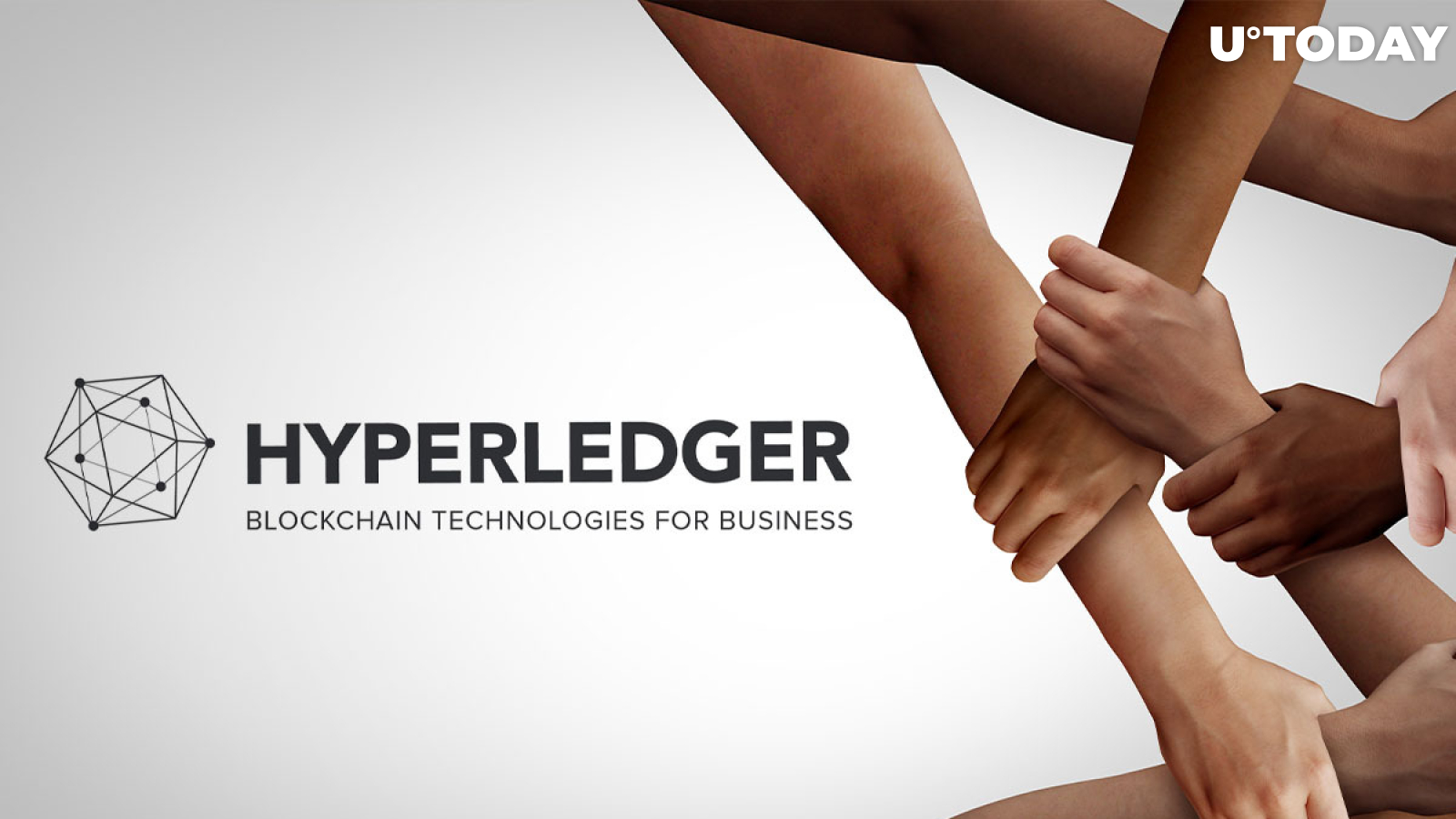 Hyperledger Adds 8 New Partners Including IOV Labs