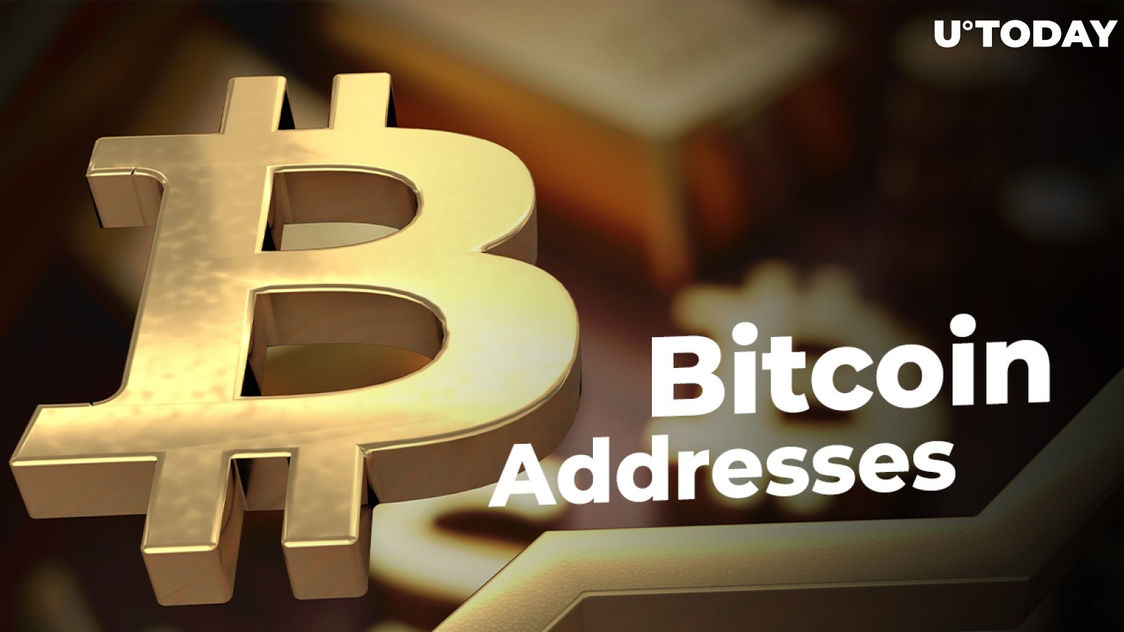 Proportion of Bitcoin Addresses in Profit Currently Stands at 83 Percent: Data