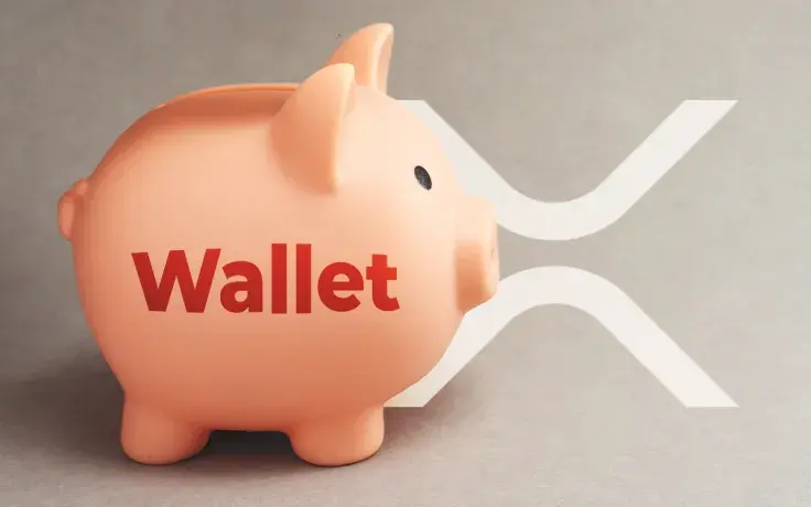 Largest XRP Wallets Speed Up Accumulation. Is XRP Price Rally Near?