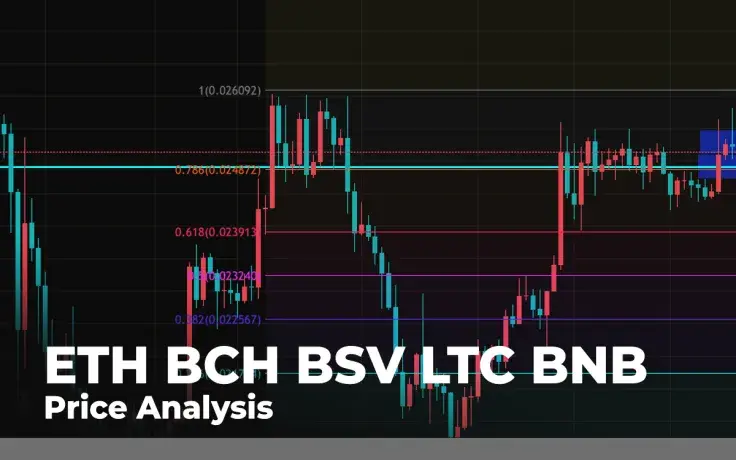 ETH, BCH, BSV, LTC, BNB Price Analysis: Any Reasons for Growth Against Bitcoin (BTC)?
