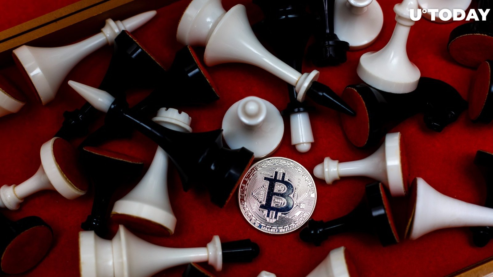 Bitcoin Dominance Is About to Collapse, According to Crypto Trader Scott Melker