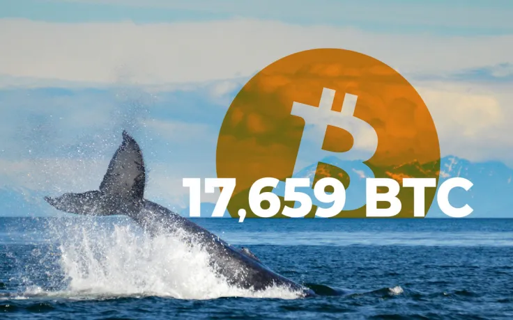 Whales Move 17,659 BTC Between Coinbase, Binance and Anon BTC Wallets