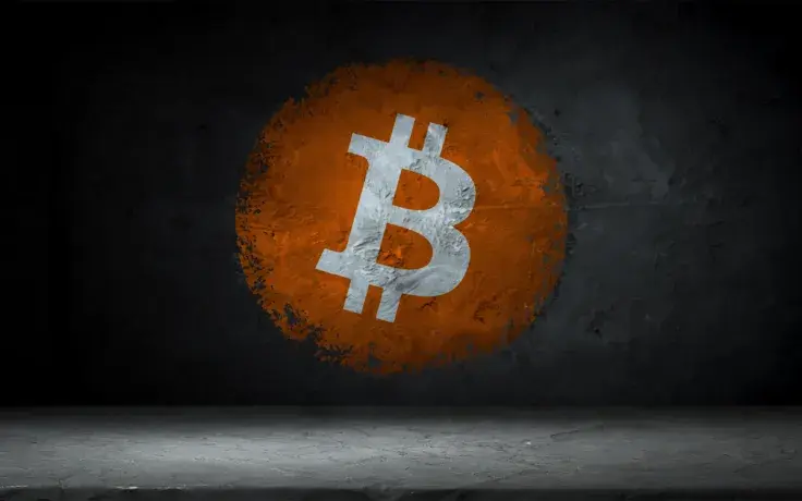 French Street Painter Behind Anti-Fiat Mural Keeps Receiving Bitcoin Donations, but There Is One Caveat 