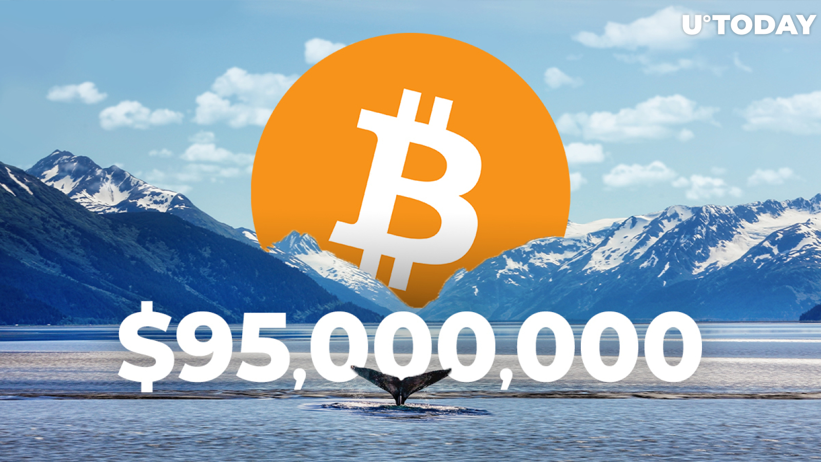 Bitcoin Whale Moves $95,000,000 In BTC Paying Less than $1 Fee