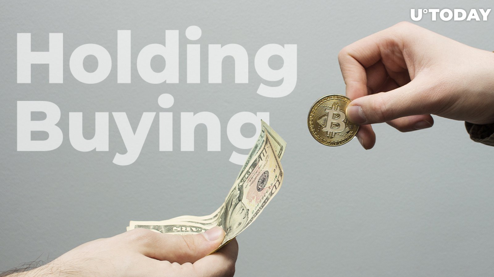 84% Poll Respondents Holding/Buying Bitcoin: Plan B Analyst