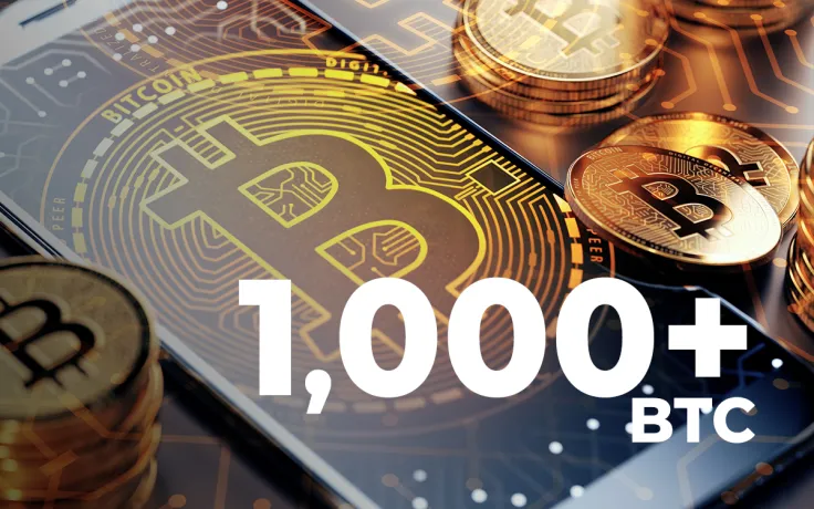  Number of Bitcoin Wallets with 1,000+ BTC Hits 9-Month High: Glassnode